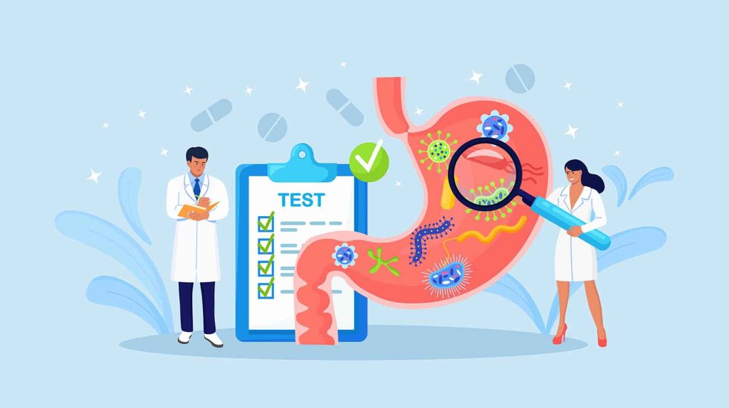 Your Gut Microbiome and the Key to Health
