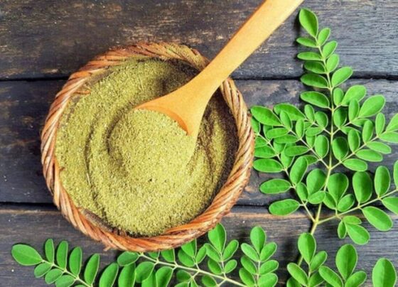 moringa leaves
