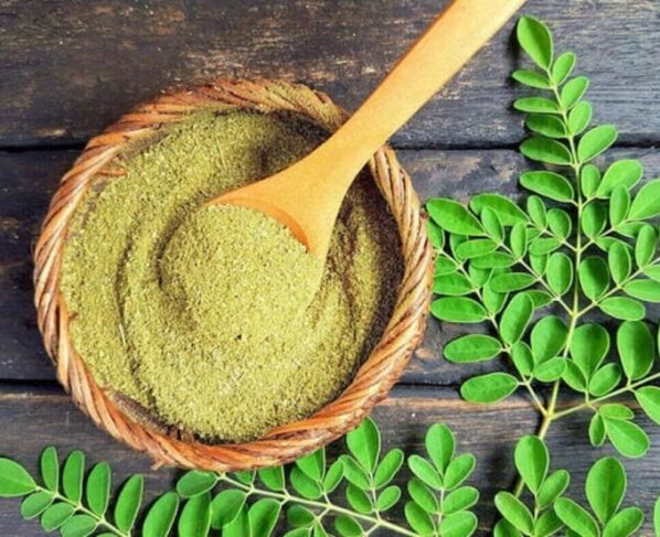 moringa leaves
