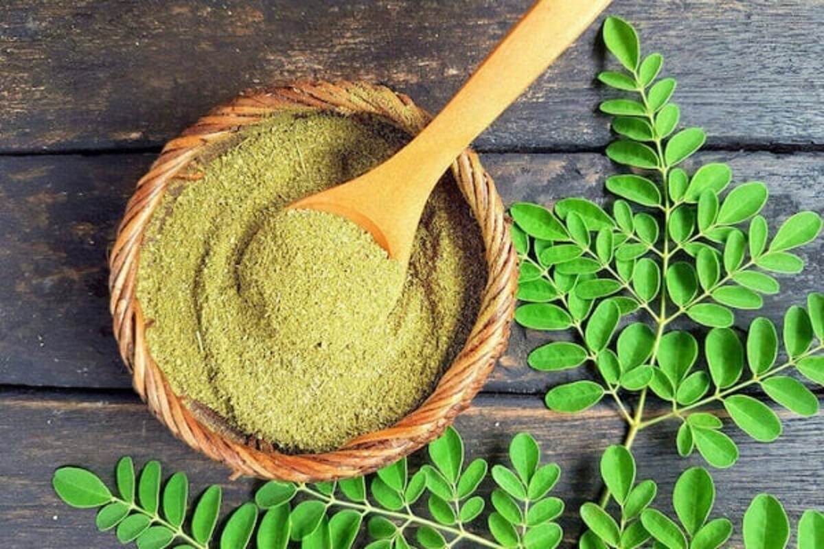 moringa leaves