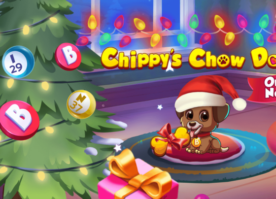 Bingo Bash Free Chips Links