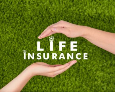Life Insurance